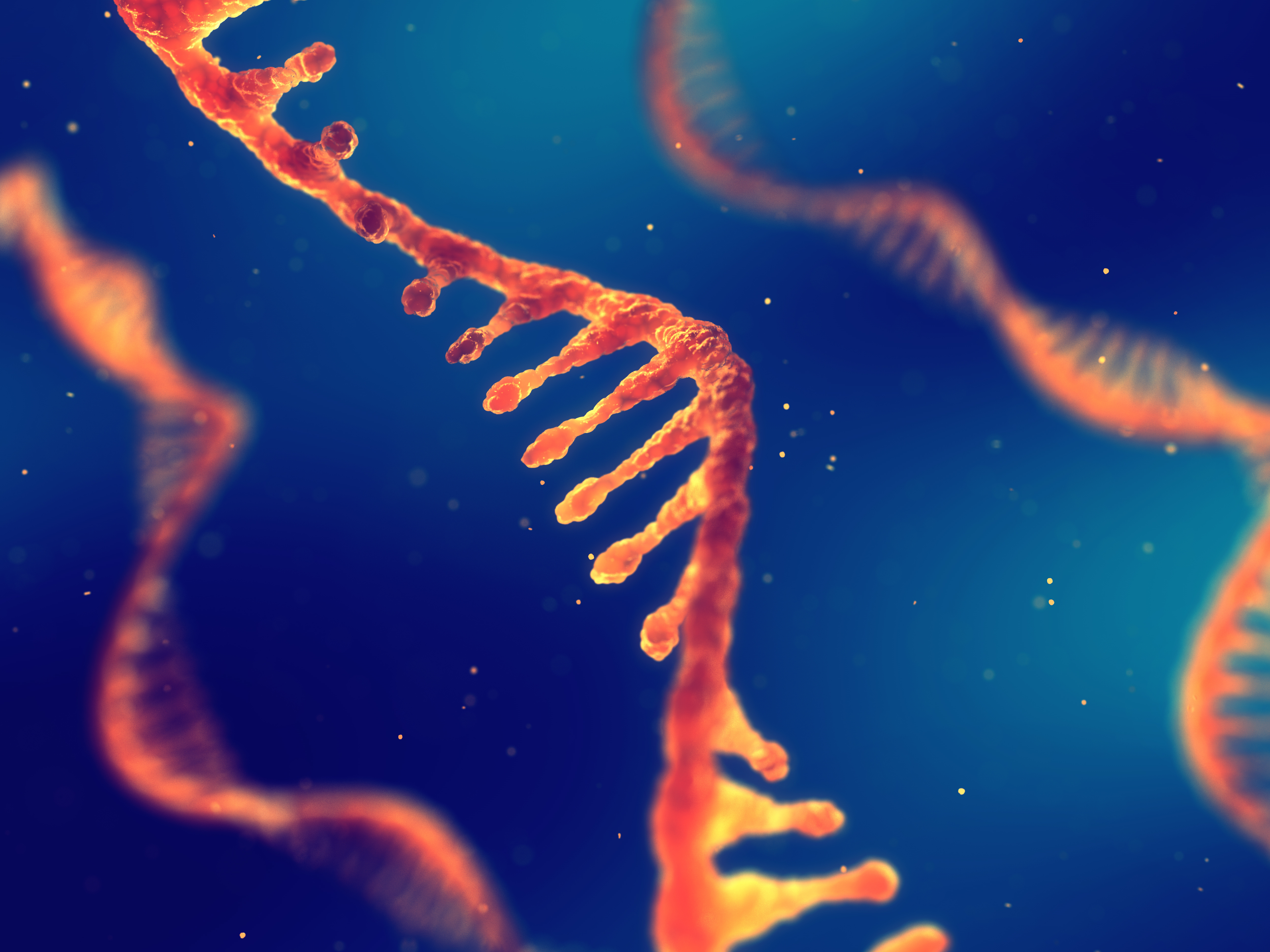 AdobeStock_221145581.jpeg
