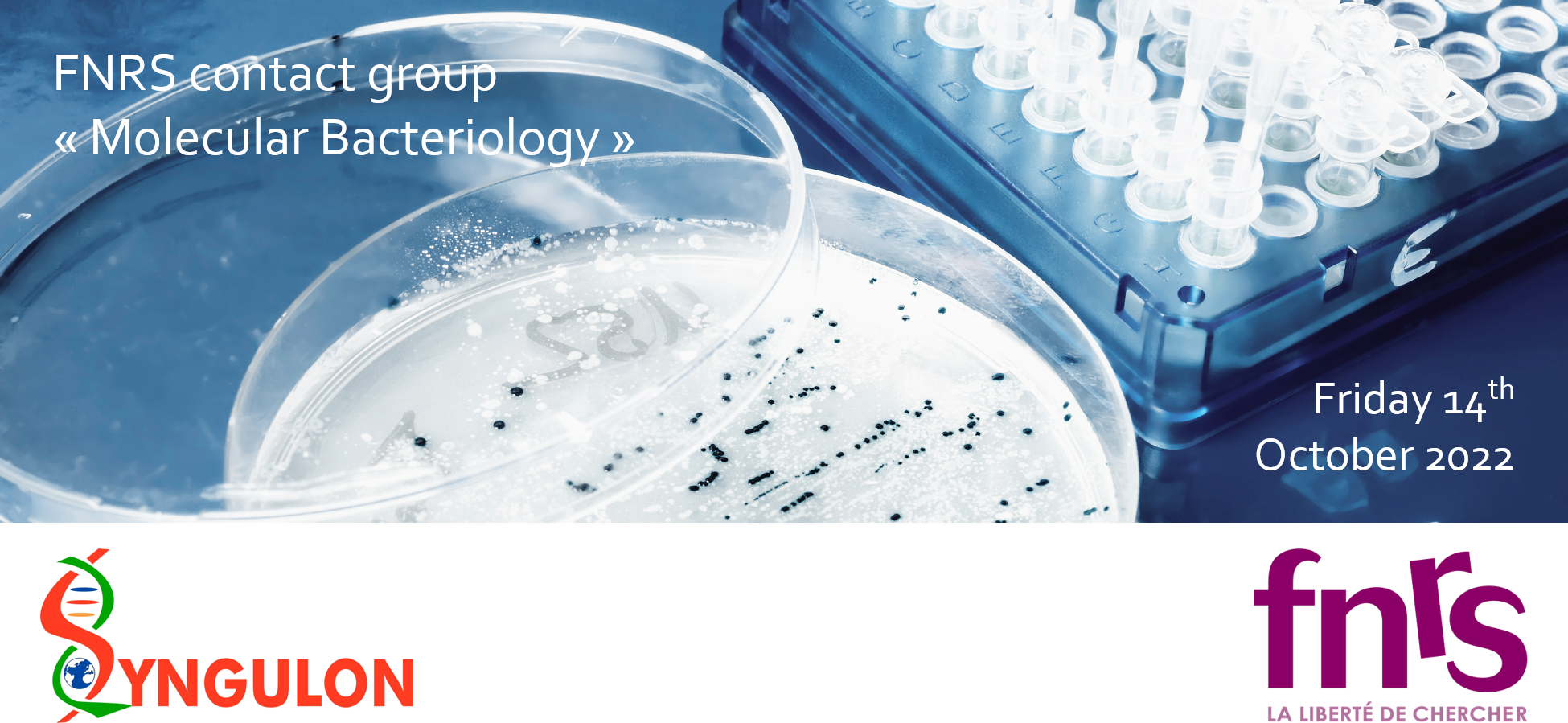 FNRS_contactgroup_MolBac_Syngulon.png