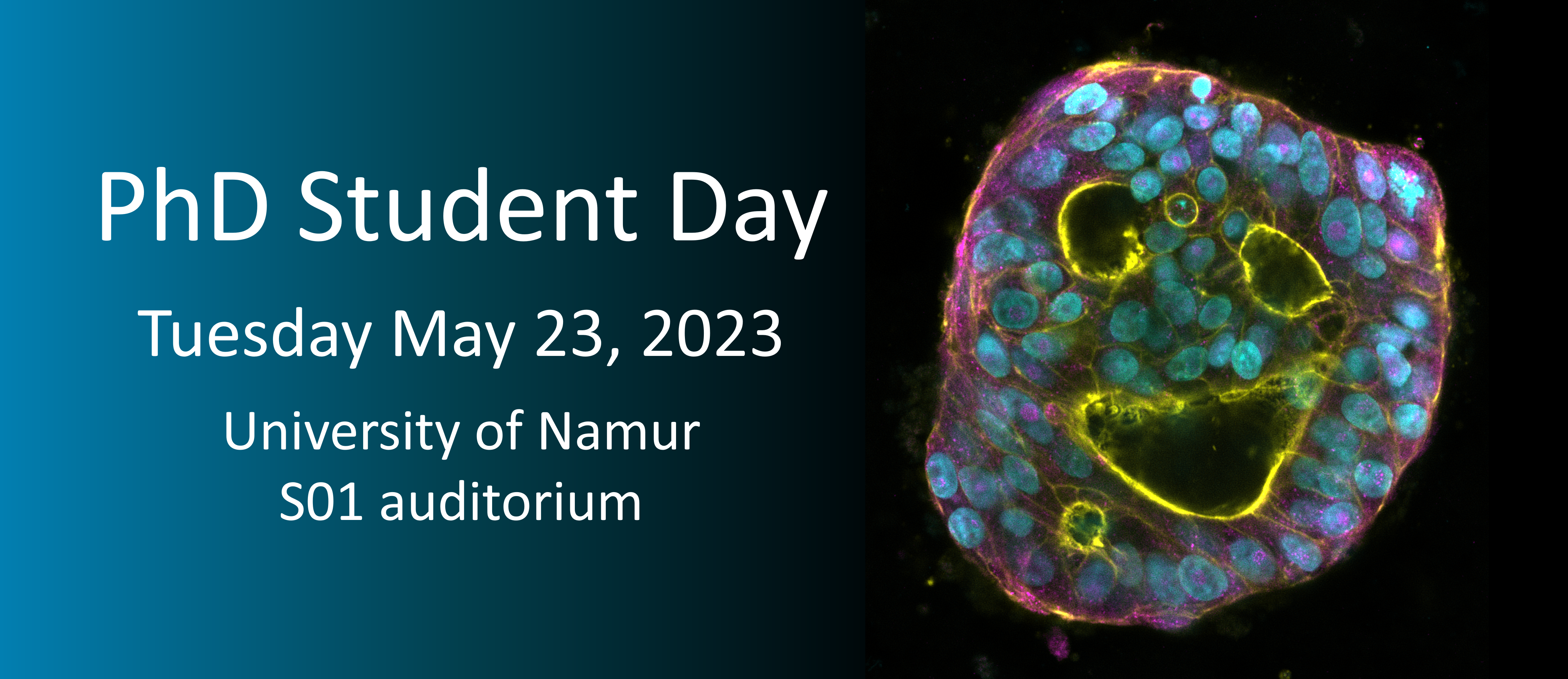 PhDStudentDay.png