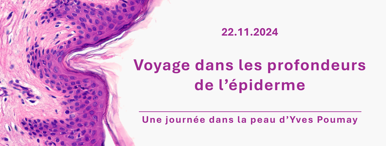 Voyage dans les profondeurs de l'épiderme