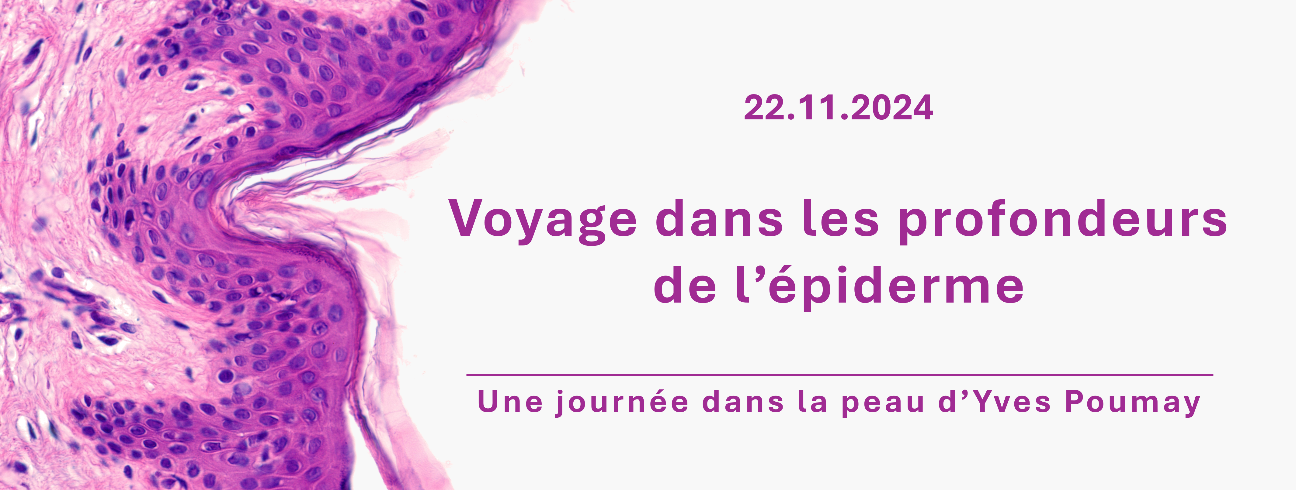 Voyage dans les profondeurs de l'épiderme