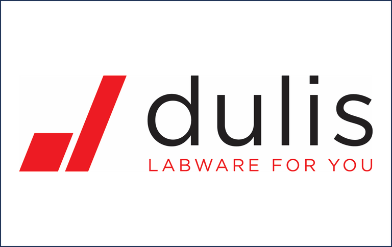 logo-dulis.png