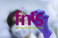 FNRS allocating new funds to 21 NARILIS research projects!