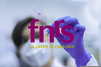 FNRS Grants and Fellowships 2022 : six successful applications at NARILIS