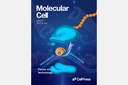 NARILIS epitranscriptomic work makes the cover of the Molecular Cell journal