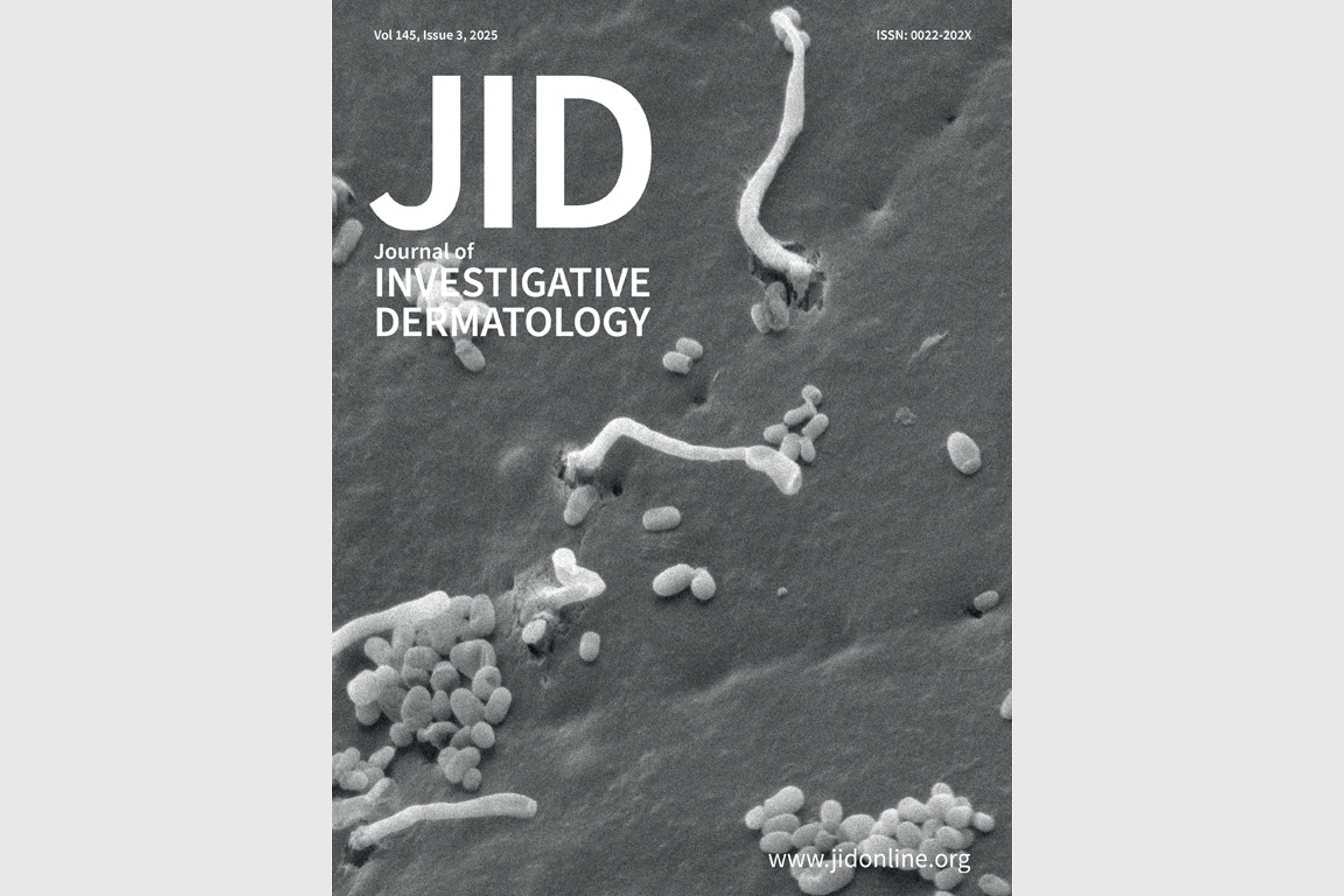 NARILIS skin research featured on the March 2025 cover of the Journal ...