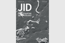 NARILIS skin research featured on the March 2025 cover of the Journal of Investigative Dermatology