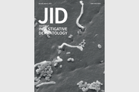NARILIS skin research featured on the March 2025 cover of the Journal of Investigative Dermatology
