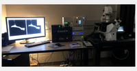 New azimutal Total Internal Reflection Fluorescence (TIRF) microscope from Gataca Systems and Zeiss available at UNamur-NARILIS