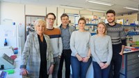 Portrait of the month: Olivier De Backer's research team