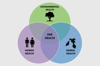 The COLREC project, supported by NARILIS, concludes with a remarkable scientific publication