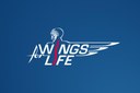 UAntwerp and UNamur join forces to advance research on spinal cord injury with the support of Wings for Life