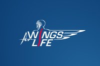 UAntwerp and UNamur join forces to advance research on spinal cord injury with the support of Wings for Life